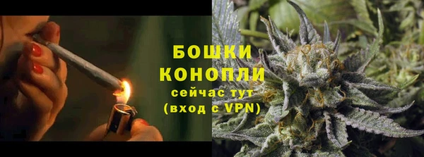хмурый Арсеньев