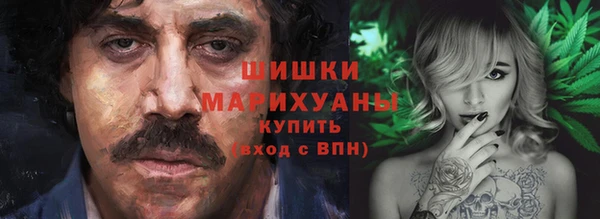 хмурый Арсеньев