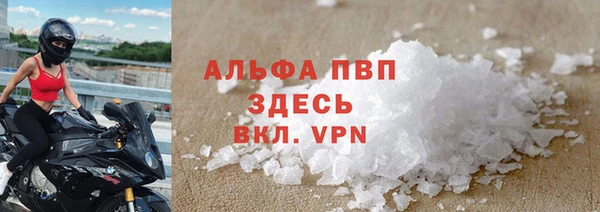 хмурый Арсеньев